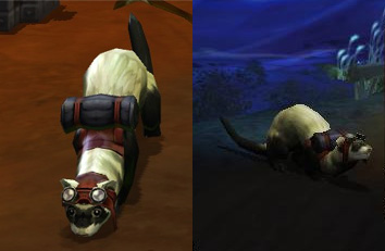 ferret_pet_by_runic1.jpg ferret_pet_by_runic1.jpg